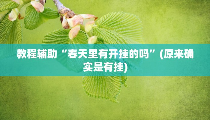 教程辅助“春天里有开挂的吗”(原来确实是有挂)