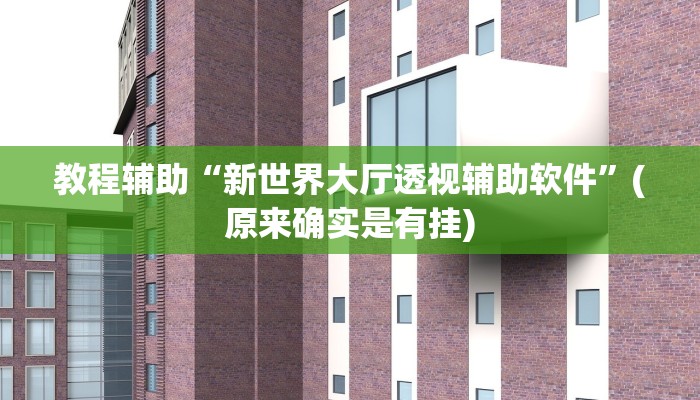 教程辅助“新世界大厅透视辅助软件”(原来确实是有挂)
