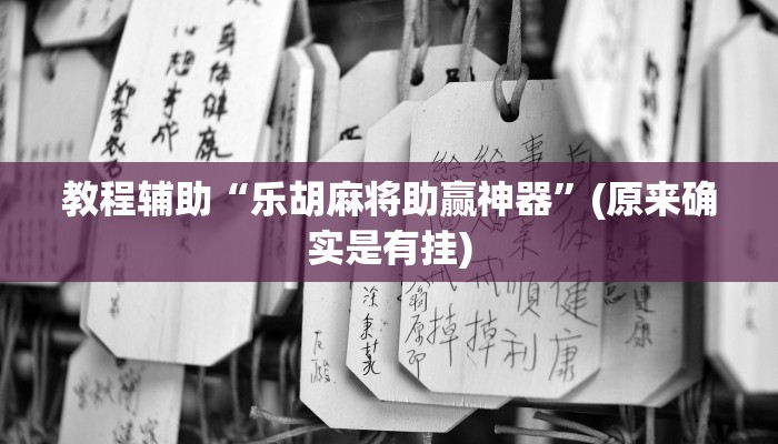 教程辅助“乐胡麻将助赢神器”(原来确实是有挂)