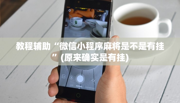 教程辅助“HHPoKer辅助透视软件挂”(原来确实是有挂)