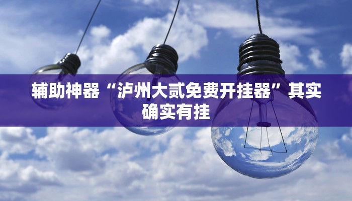 辅助神器“泸州大贰免费开挂器”其实确实有挂