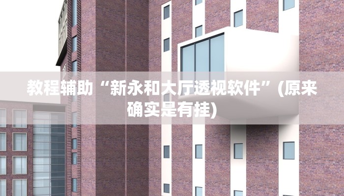教程辅助“新永和大厅透视软件”(原来确实是有挂)