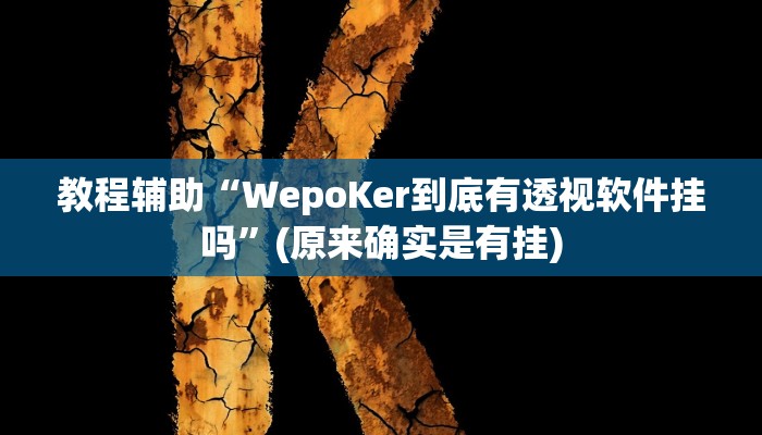 教程辅助“WepoKer到底有透视软件挂吗”(原来确实是有挂)