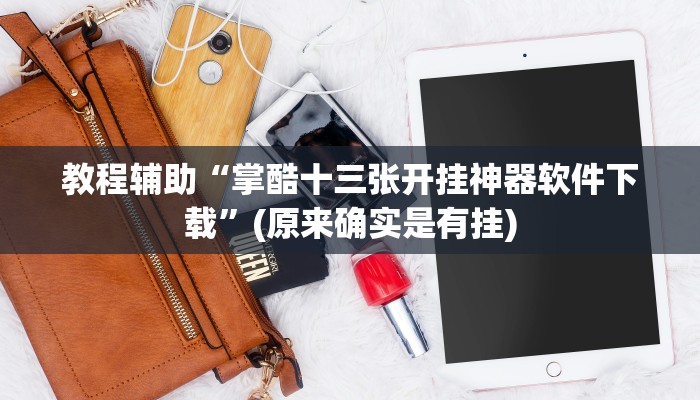 教程辅助“掌酷十三张开挂神器软件下载”(原来确实是有挂)