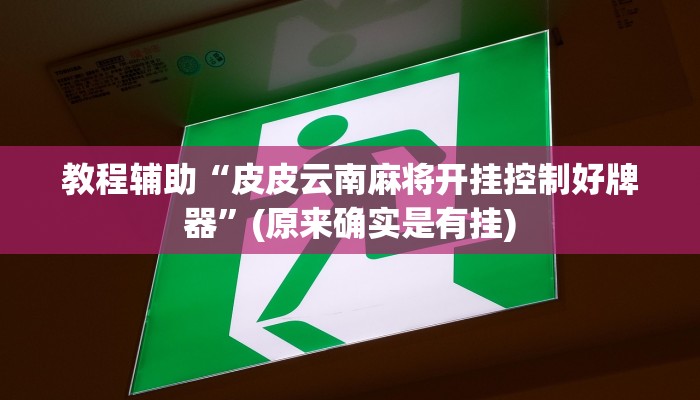 教程辅助“皮皮云南麻将开挂控制好牌器”(原来确实是有挂)