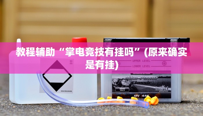 教程辅助“掌电竞技有挂吗”(原来确实是有挂)