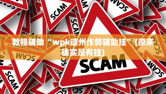教程辅助“wpk德州作弊辅助挂”(原来确实是有挂)