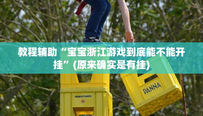 教程辅助“宝宝浙江游戏到底能不能开挂”(原来确实是有挂)