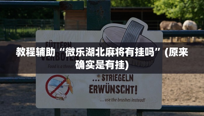教程辅助“微乐湖北麻将有挂吗”(原来确实是有挂)