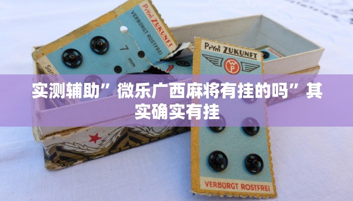 教程辅助“秦皇岛麻将开挂神器”(原来确实是有挂)