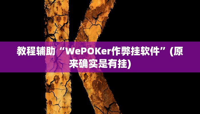 教程辅助“WePOKer作弊挂软件”(原来确实是有挂)