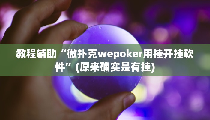 教程辅助“微扑克wepoker用挂开挂软件”(原来确实是有挂)