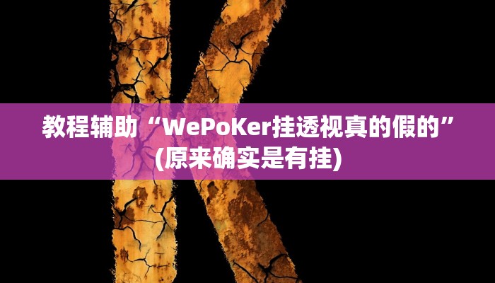 教程辅助“WePoKer挂透视真的假的”(原来确实是有挂)