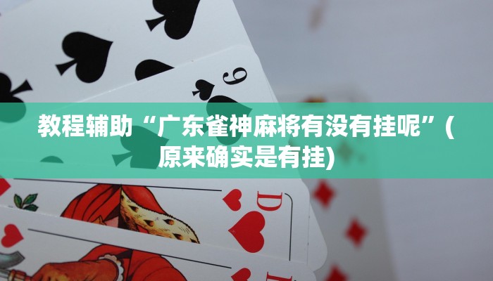 教程辅助“广东雀神麻将有没有挂呢”(原来确实是有挂)