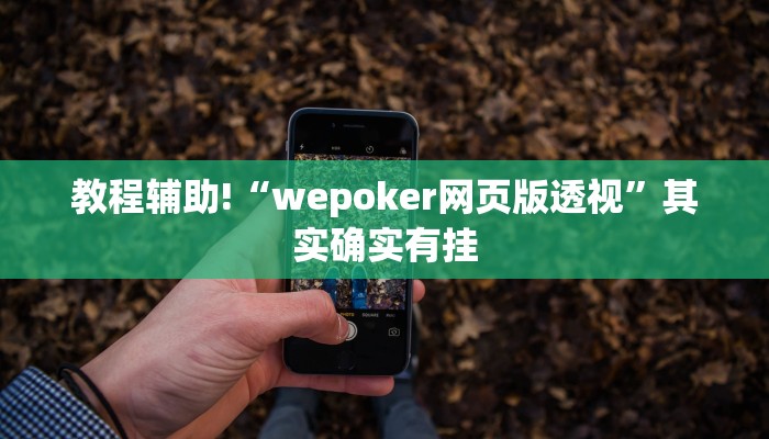 教程辅助!“wepoker网页版透视”其实确实有挂
