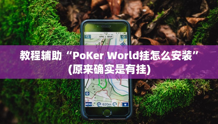 教程辅助“PoKer World挂怎么安装”(原来确实是有挂)