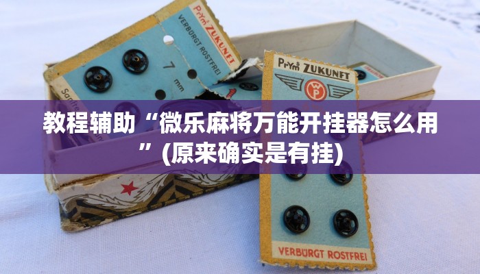 教程辅助“微乐麻将万能开挂器怎么用”(原来确实是有挂)