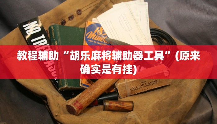 教程辅助“胡乐麻将辅助器工具”(原来确实是有挂)