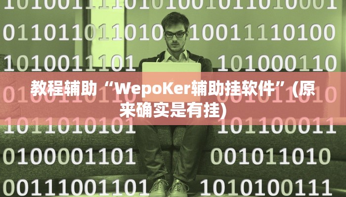 教程辅助“WepoKer辅助挂软件”(原来确实是有挂)