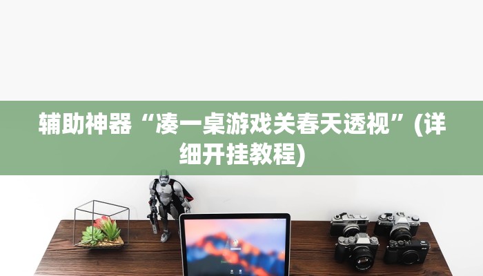 辅助神器“凑一桌游戏关春天透视”(详细开挂教程)