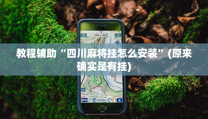 教程辅助“四川麻将挂怎么安装”(原来确实是有挂)