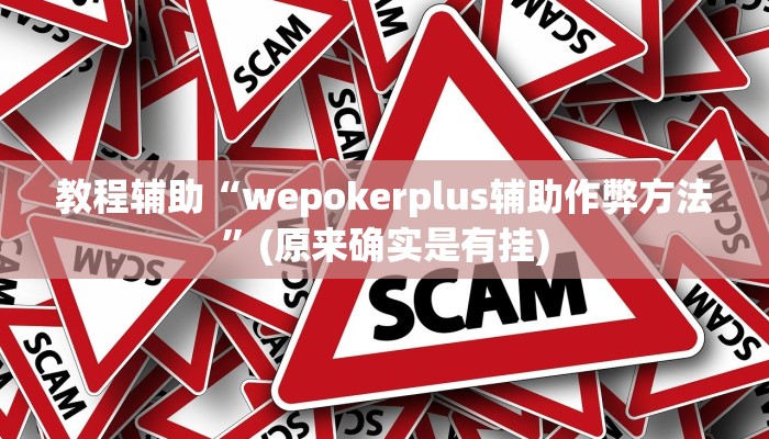 教程辅助“wepokerplus辅助作弊方法”(原来确实是有挂)