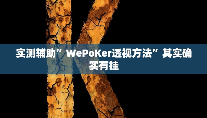 实测辅助”WePoKer透视方法”其实确实有挂
