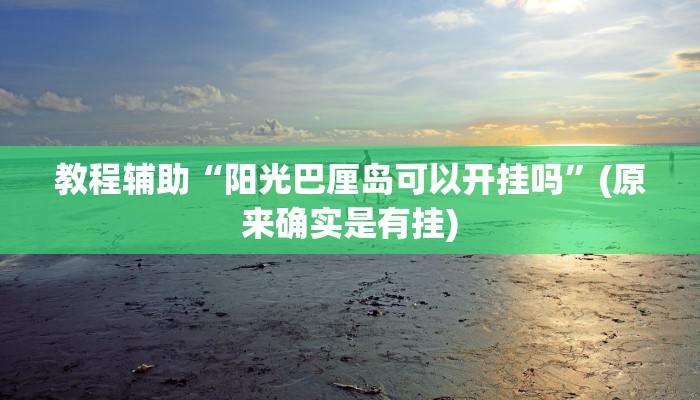教程辅助“阳光巴厘岛可以开挂吗”(原来确实是有挂)