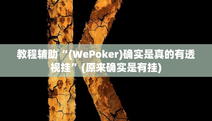 教程辅助“(WePoker)确实是真的有透视挂”(原来确实是有挂)