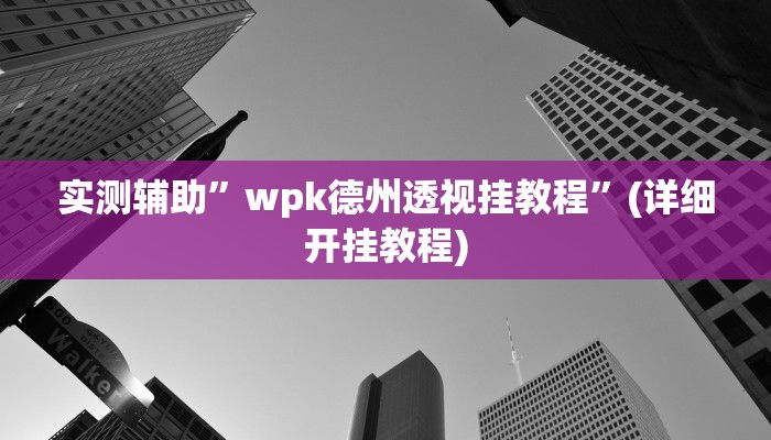 实测辅助”wpk德州透视挂教程”(详细开挂教程)