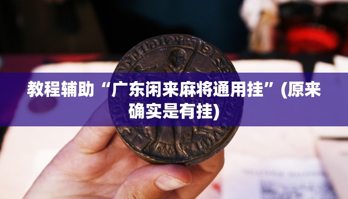 教程辅助“广东闲来麻将通用挂”(原来确实是有挂)