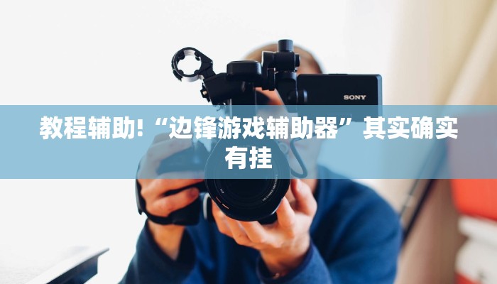 教程辅助!“边锋游戏辅助器”其实确实有挂