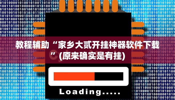 教程辅助“家乡大贰开挂神器软件下载”(原来确实是有挂)