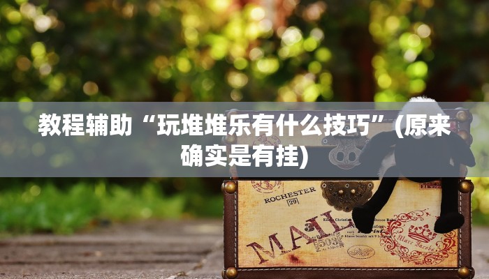 教程辅助“玩堆堆乐有什么技巧”(原来确实是有挂)