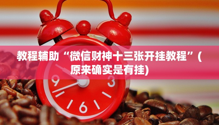 教程辅助“微信财神十三张开挂教程”(原来确实是有挂)