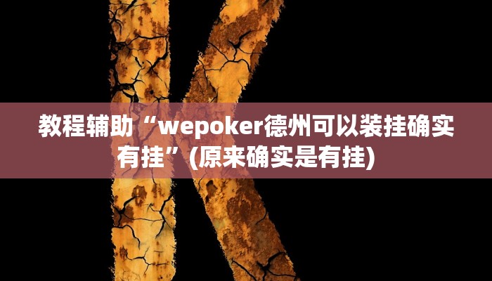 教程辅助“大头十三水开挂辅助器”(原来确实是有挂)