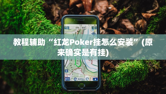 教程辅助“新畅游互娱开挂神器”(原来确实是有挂)