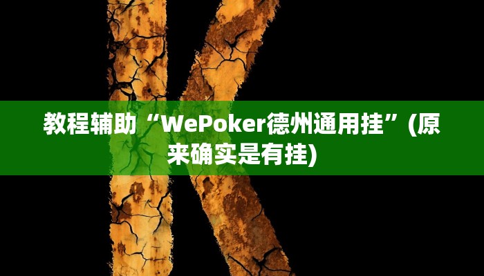 教程辅助“WePoker德州通用挂”(原来确实是有挂)