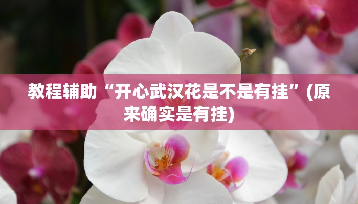 教程辅助“开心武汉花是不是有挂”(原来确实是有挂)