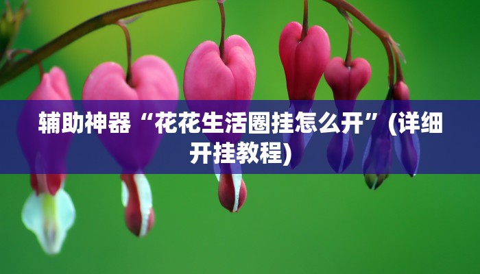辅助神器“花花生活圈挂怎么开”(详细开挂教程)