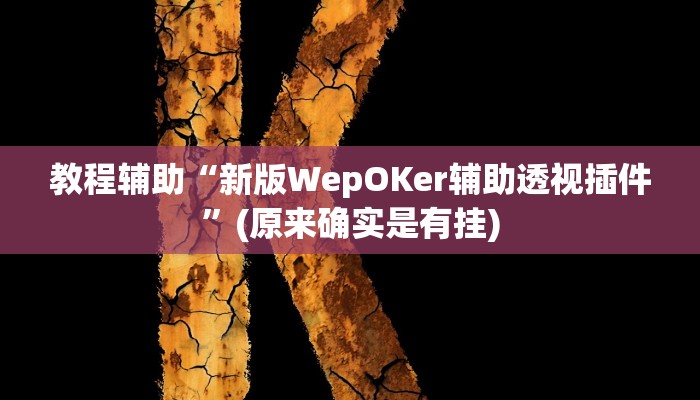 教程辅助“新版WepOKer辅助透视插件”(原来确实是有挂)