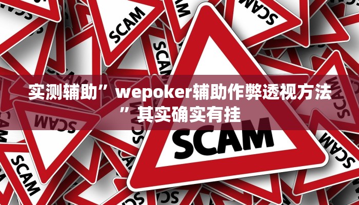 实测辅助”wepoker辅助作弊透视方法”其实确实有挂