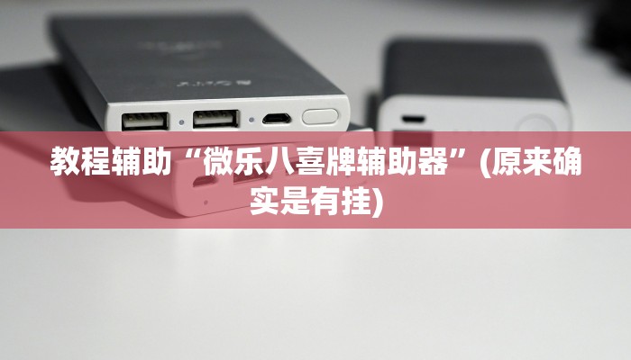 教程辅助“微乐八喜牌辅助器”(原来确实是有挂)