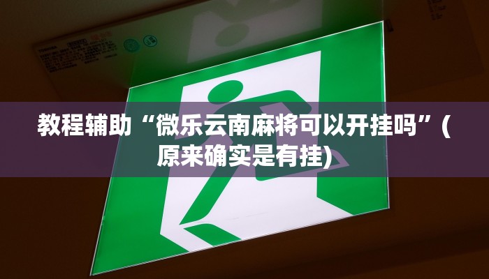 教程辅助“微乐云南麻将可以开挂吗”(原来确实是有挂)
