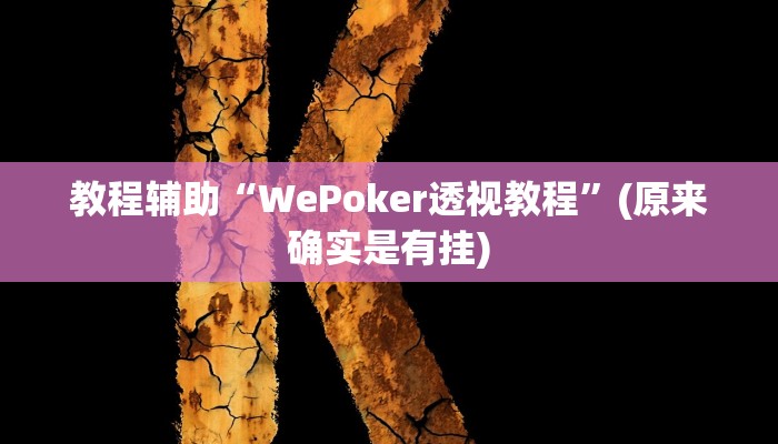 教程辅助“WePoker透视教程”(原来确实是有挂)