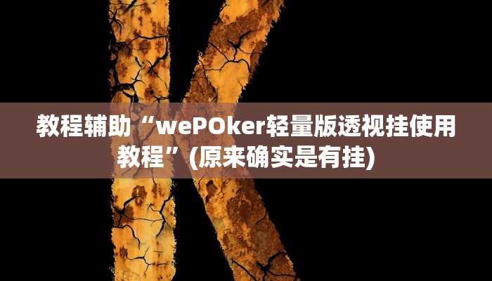教程辅助“wePOker轻量版透视挂使用教程”(原来确实是有挂)