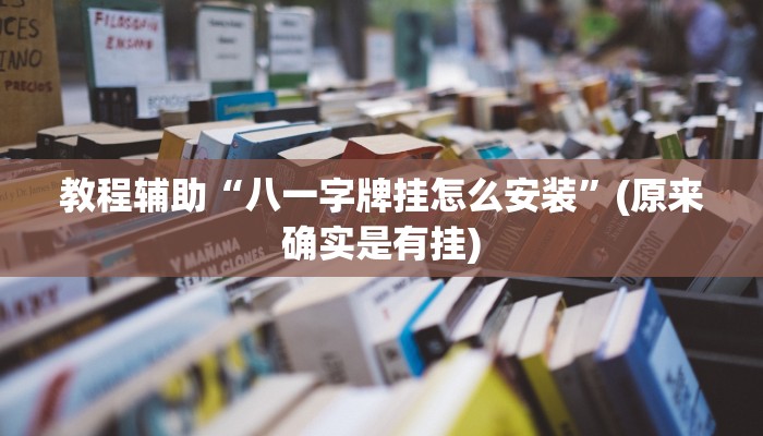 教程辅助“八一字牌挂怎么安装”(原来确实是有挂)