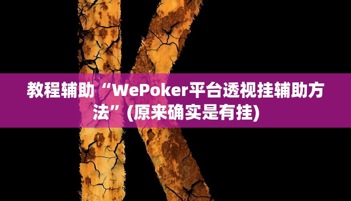 教程辅助“WePoker平台透视挂辅助方法”(原来确实是有挂)