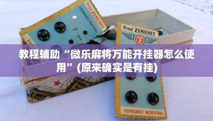 教程辅助“微乐麻将万能开挂器怎么使用”(原来确实是有挂)