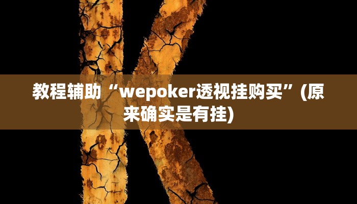 教程辅助“wepoker透视挂购买”(原来确实是有挂)